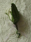 Ring Bearer Boutonniere with Safety Clasp on back