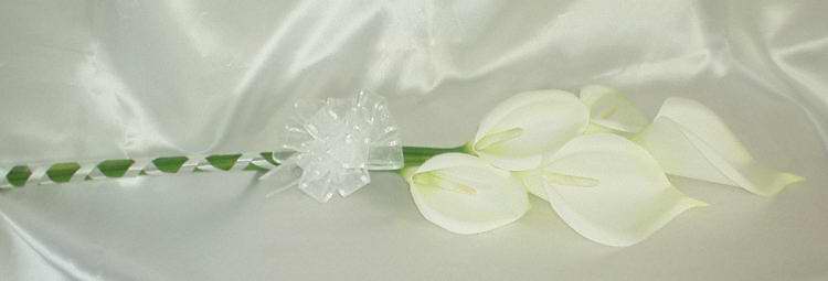 Natural Calla Long Stemmed Bouquet